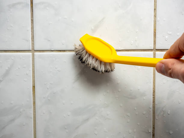 Best Certified Mold Removal  in Fmington, AR