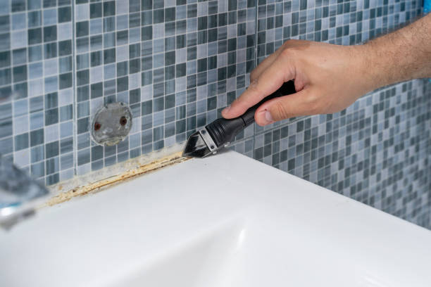 Farmington, AR Mold Removal Company